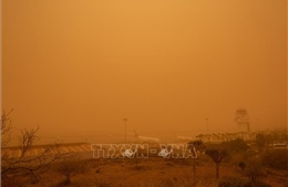 Các sân bay trên quần đảo Canary hoạt động trở lại sau bão cát