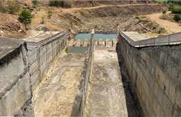 Nhiều hồ chứa tại Ninh Thuận cạn trơ đáy