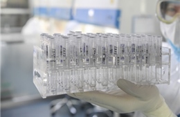 Israel phát triển vaccine phòng chống dịch COVID-19