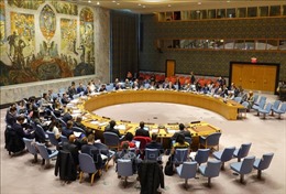  Hội đồng Bảo an Liên hợp quốc hủy các cuộc họp do đại dịch COVID-19