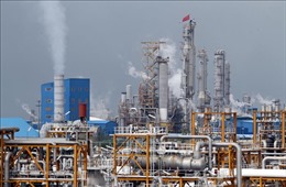 Mỹ trừng phạt 5 công ty có trụ sở ở UAE do mua dầu Iran 