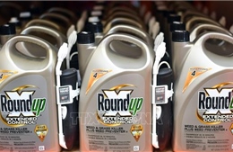 Tập đoàn Bayer đạt thỏa thuận bồi thường liên quan thuốc diệt cỏ của Monsanto 