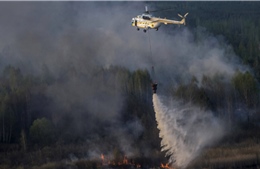 Cháy 20ha rừng tại &#39;vùng cấm hạt nhân&#39; ở Chernobyl, Ukraine