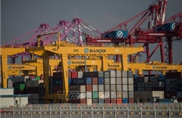 WTO cảnh báo rủi ro đe dọa triển vọng thương mại toàn cầu