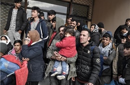 Đức sẽ tiếp nhận khoảng 500 trẻ tị nạn từ Hy Lạp trong vài tuần tới