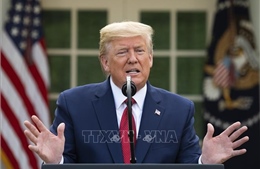 Nhóm G7 thống nhất lập trường về WHO và mở cửa trở lại nền kinh tế 