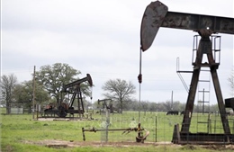 Giá dầu &#39;lao đốc không phanh&#39;, nguy cơ phá sản hàng loạt trong ngành dầu mỏ           