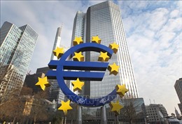 Hoạt động kinh tế của Eurozone sụt giảm &#39;chưa từng thấy&#39; trong lịch sử