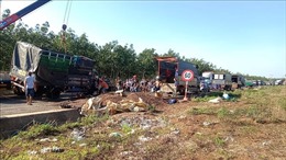 Người dân giúp thu gom hàng chục tấn hạt điều sau tai nạn lật xe tải chở điều