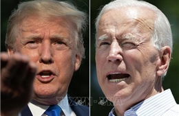 Ông Joe Biden vượt qua Tổng thống Donald Trump trong cuộc thăm dò tại New Hampshire