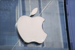 Apple có kế hoạch chuyển 20% công suất sản xuất từ Trung Quốc sang Ấn Độ