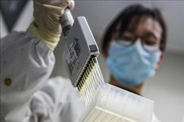 Trung Quốc hợp tác với Canada phát triển thuốc và vaccine phòng COVID-19