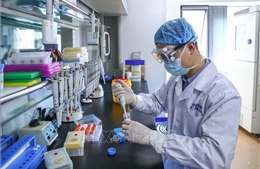 Trung Quốc thông báo thời điểm hoàn tất giai đoạn 2 thử nghiệm lâm sàng vaccine ngừa COVID-19