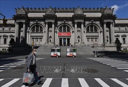Bảo tàng Nghệ thuật Metropolitan của Mỹ lên kế hoạch mở cửa trở lại