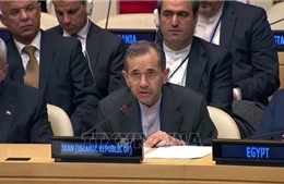 Đại sứ Iran khẳng định Mỹ không có quyền kéo dài lệnh cấm vận vũ khí của LHQ