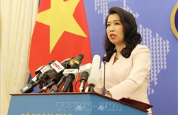 Việt Nam sẵn sàng cho việc triển khai các hiệp định EVFTA, EVIPA