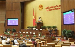 Trình Quốc hội đề nghị phê chuẩn danh sách Phó Chủ tịch và Ủy viên Hội đồng bầu cử quốc gia