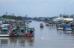 Kiên Giang có trên 84% tàu cá lắp đặt thiết bị giám sát hành trình