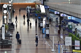 Dịch COVID-19: Nhật Bản lập thêm các trung tâm xét nghiệm PCR tại sân bay 