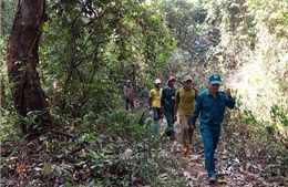 Bàn giải pháp bảo vệ rừng, nâng cao đời sống người dân Tây Nguyên