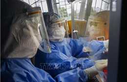 Nhóm chuyên gia WHO tới Trung Quốc xác định nguồn gốc của virus SARS-CoV-2