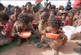 Hơn 50 triệu người vùng Sừng châu Phi có nguy cơ thiếu lương thực 