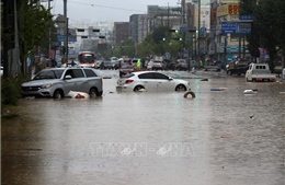 Mưa lớn gây thiệt hại nặng nề tại Sudan, Yemen và Hàn Quốc