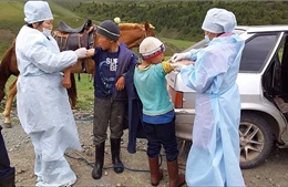 Nga yêu cầu 14.000 người dân gần biên giới với Mông Cổ tiêm vaccine ngừa dịch hạch