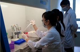 Công bố kết quả nghiên cứu bộ sinh phẩm phát hiện SARS-Cov-2