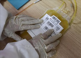Mỹ cho phép điều trị COVID-19 bằng huyết tương bệnh nhân hồi phục