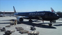 Hãng hàng không quốc gia New Zealand báo lỗ 300 triệu USD 