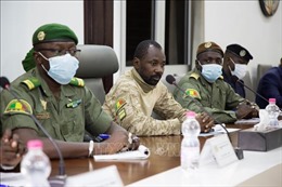 ECOWAS thống nhất thời gian chuyển tiếp tại Mali