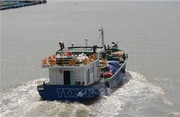 Hiện đại hóa thiết bị tàu cá đảm bảo an toàn trong mùa mưa bão