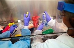 Australia sẵn sàng cho việc sản xuất vaccine ngừa COVID-19 trong 6 tháng tới