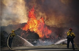 Cháy rừng nghiêm trọng do bắn pháo hoa tại California 