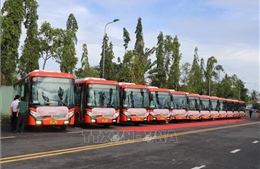 Cần Thơ khai trương 5 tuyến xe buýt nội tỉnh không trợ giá