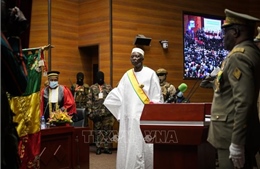 Ông Ba N&#39;Daou tuyên thệ nhậm chức Tổng thống lâm thời Mali
