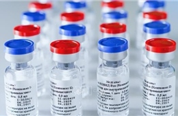 Nga cung cấp vaccine Sputnik V ngừa COVID-19 cho Belarus