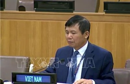 Việt Nam khẳng định ASEAN ủng hộ các nỗ lực quốc tế về chống phổ biến và giải trừ quân bị các loại vũ khí hủy diệt