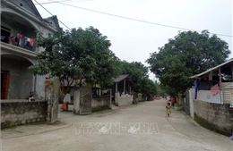 Tuyên Quang: Bố trí, sắp xếp ổn định chỗ ở cho gần 2.000 hộ dân