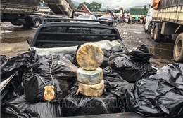 Thổ Nhĩ Kỳ thu giữ hơn 220 kg cocaine được vận chuyển từ Brazil