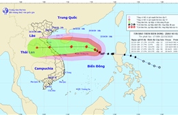 Bão số 8 di chuyển chậm, khả năng xuất hiện áp thấp mới 