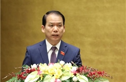 Cân nhắc việc mở rộng chủ thể ký thỏa thuận quốc tế về phía Việt Nam