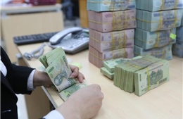 Giao kế hoạch vốn ngân sách Trung ương cho Ngân hàng Phát triển Việt Nam