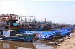 Từ 20 giờ ngày 26/10, Quảng Ngãi cấm tàu thuyền ra biển
