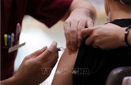 Hàn Quốc tái khẳng định không có mối liên hệ trực tiếp giữa vaccine phòng cúm với các ca tử vong 