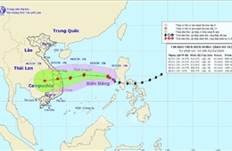 Khu vực từ Nghệ An đến Khánh Hòa chủ động ứng phó với bão số 10    