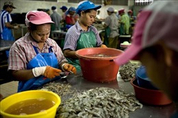 Thái Lan khắc phục tình trạng thiếu hụt lao động vì COVID-19