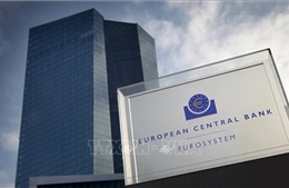Quan chức châu Âu khuyến nghị về sự hỗ trợ dành cho nền kinh tế Eurozone