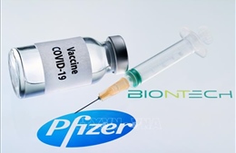 Anh dự kiến tiêm vaccine của BioNTech và Pfizer từ ngày 7/12
